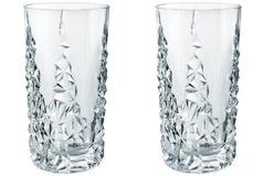 Склянка для води NACHTMANN SCULPTURE 420мл, Набір 2 шт купить Киев